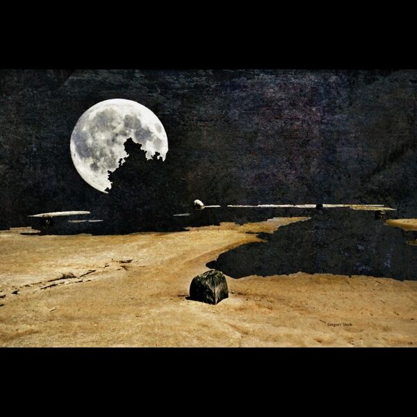 Cover art for Desert Moon
